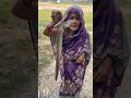 Traditional Push Net Fishing for Big Baim Fish