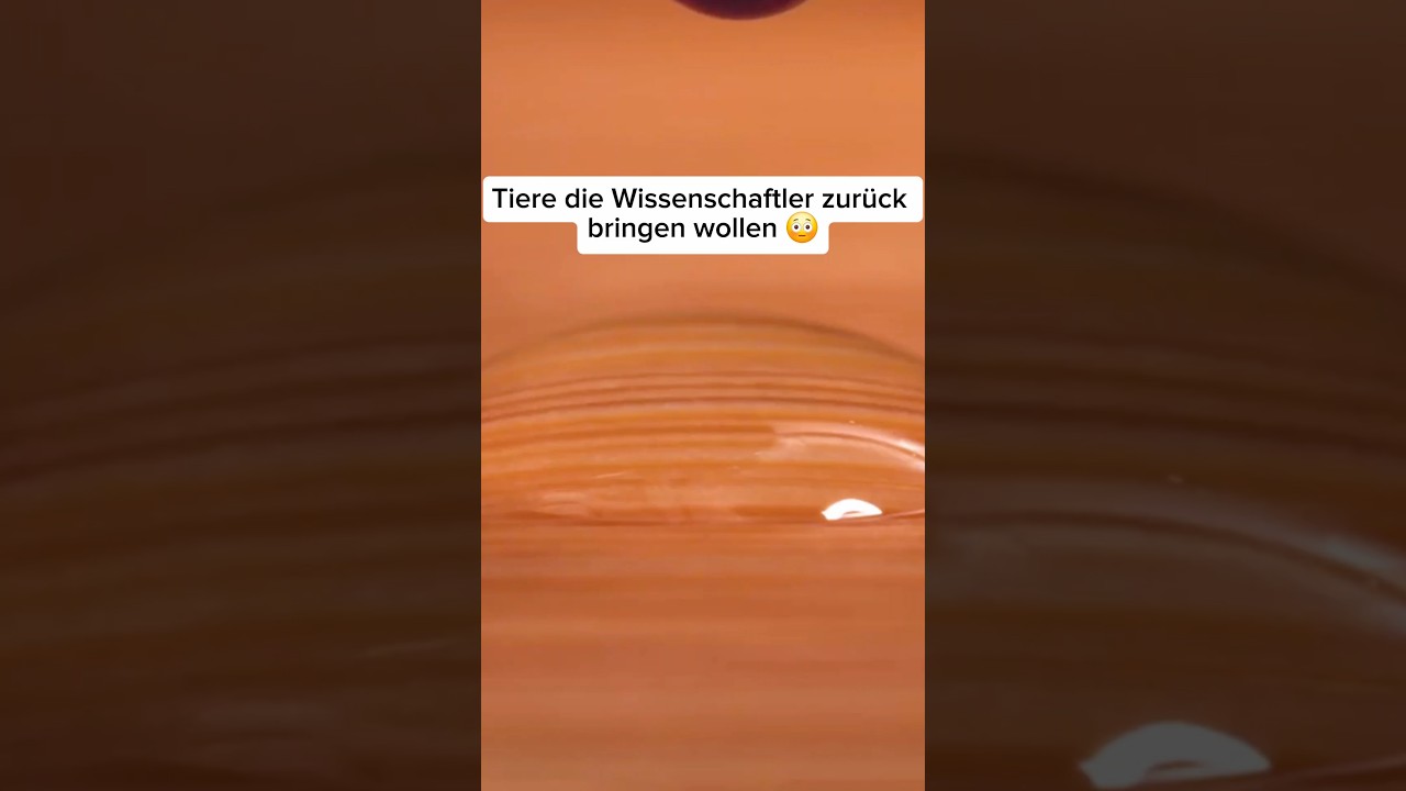 Diese Tiere wollen Wissenschaftler zurück bringen 😳 #wissenschaftler #Tiere #interessant #wissen
