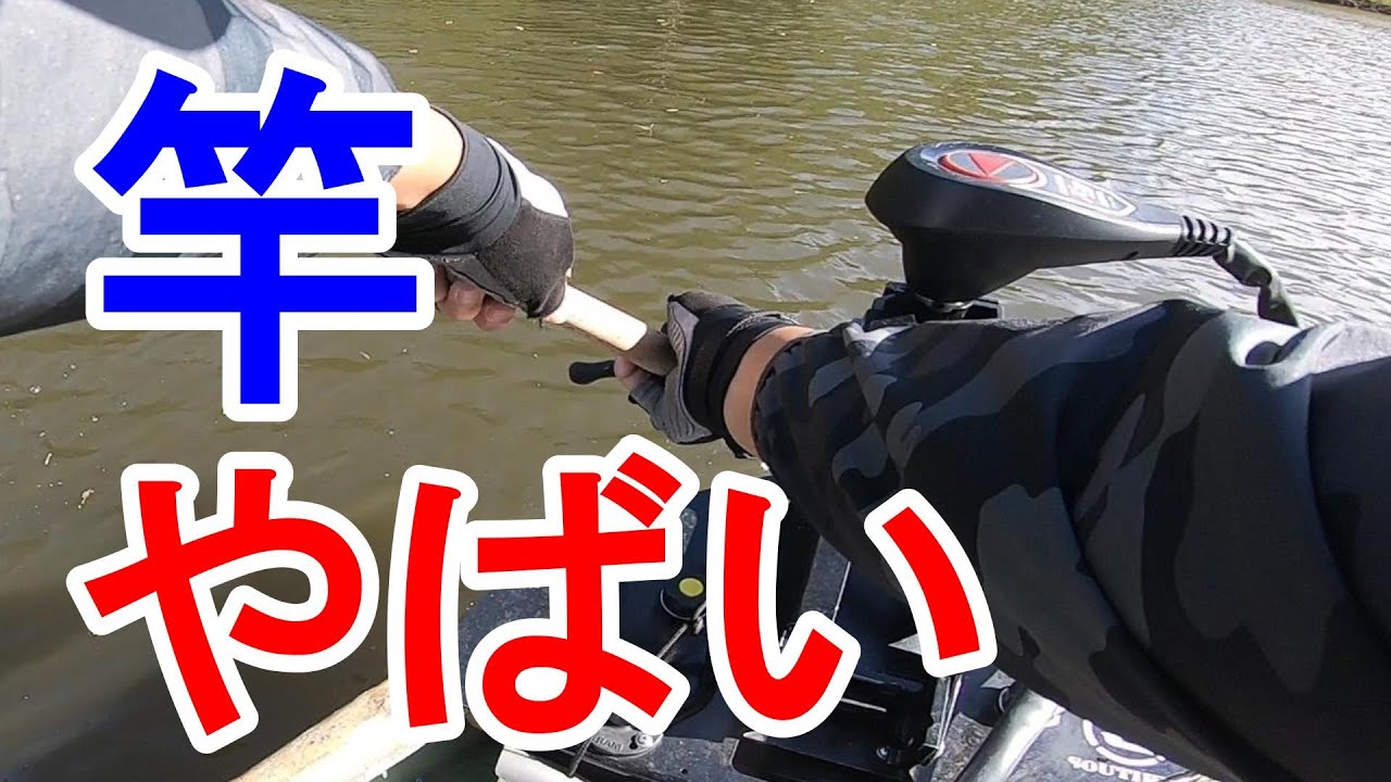 【将監川】でメーター級のレンギョに竿いかれそうになり、やばくてあせる【バス釣り】【秋】