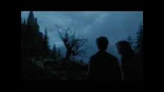 I Still Believe (Harry & Hermione)