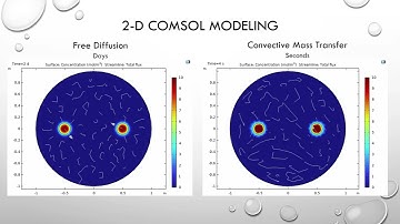 Diffusion vs Convective Mass Transfer Final Video