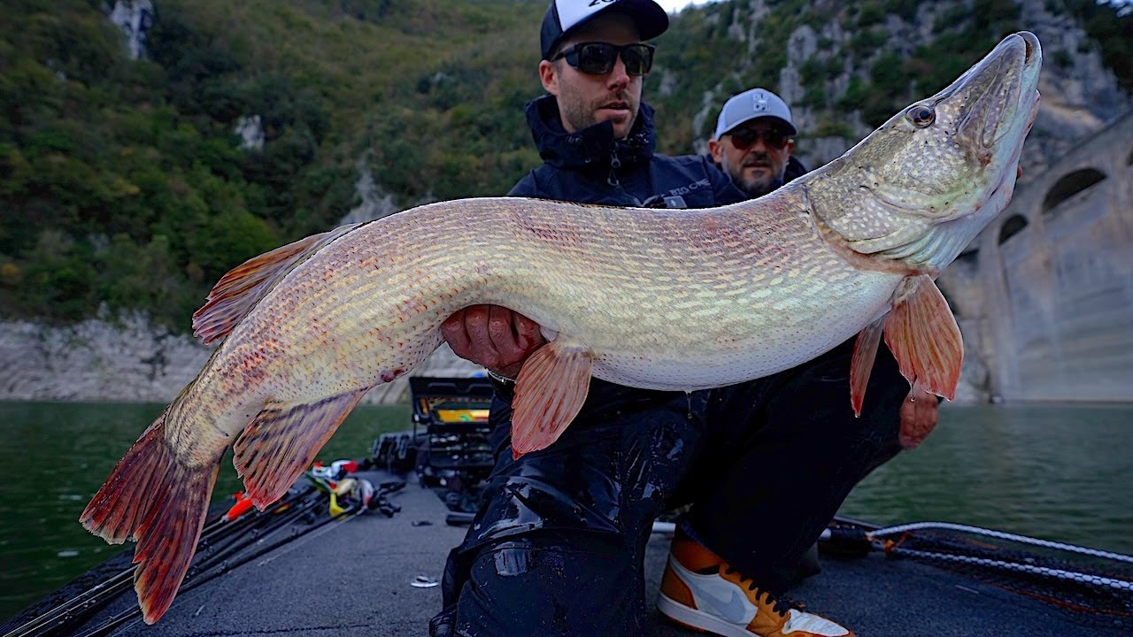 Il MOSTRO della DIGA - Pike Fishing for Monsters