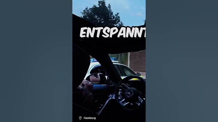Monte in Polizei Kontrolle 🚔😬?