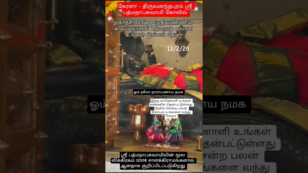 கேரளா  திருவனந்தபுரம் ஸ்ரீ பத்மநாபசுவாமி கோயில் மூலவர் தரிசனம்🙏