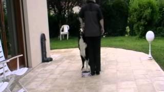 Target Heelwork Hoshi