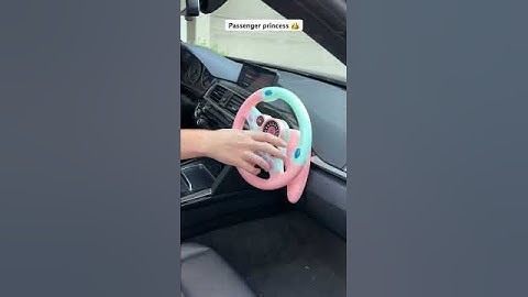 Passenger princess 👸 @elsarca #danilisboom