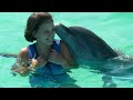 Купание с дельфинами (остров Маргарита,  Венесуэла)