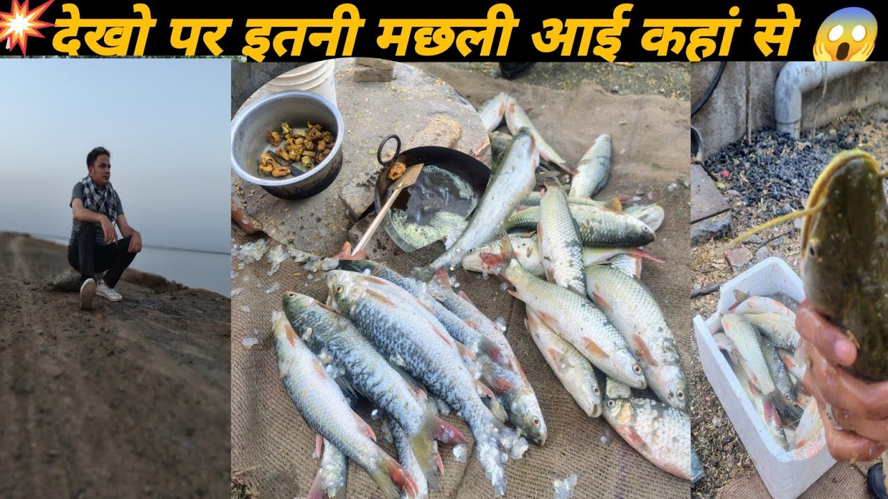 इतनी सारी मछली और खाने का मजा😋#fishcooking #fishing #vlog #viral