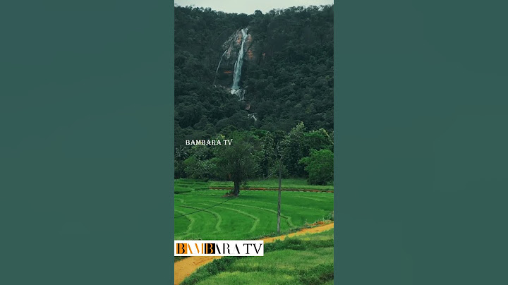 ගෙදර යන ගමන්