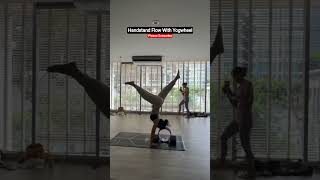 Handstand Flow With Yogwheel #handstanddrills #handstandhold #inversion #handstandflow #shorts