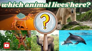 Which Animal Lives Here? Fun Habitat Quiz for Kids!