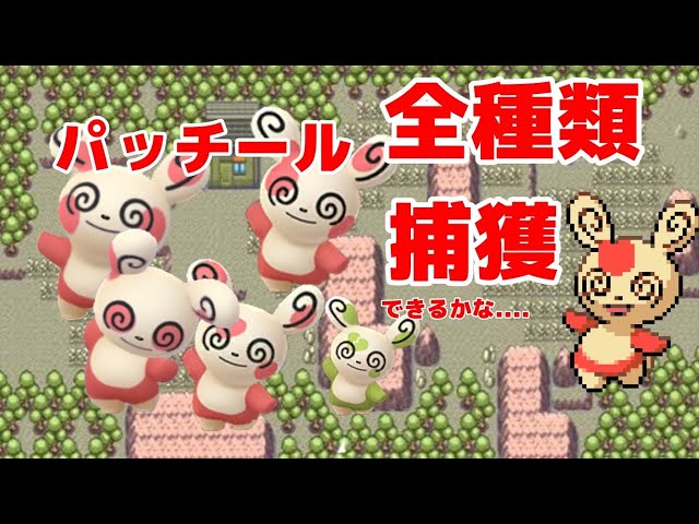 パッチール全種類getできるのか Youtube