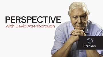 Get PERSPECTIVE on your problems - Voice by David Attenborough