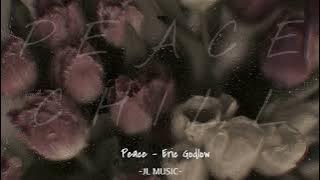 Peace | Eric Godlow // sunielaftows - Lofi chill🎶