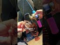 【穴釣り】Daisoロッドで無双します(ベイトリール編) #穴釣り #釣り #fishing