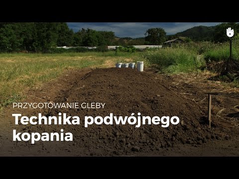 Wideo: Ręczna uprawa gleby – technika podwójnego kopania