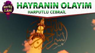 Hayranın Olayım İlahisi | Harputlu Cebrail | Nette İlahi Resimi