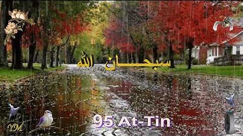 95 At Tin الشيخ مشاري راشد العفاسي سورة التين