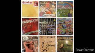 PUNK ROCK SKATE PUNK MIXTURE Vinyl BEST DJ MIX NOFX LIVING END GREEN DAY OFFSPRING RANCID ハイスタ