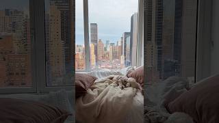 mornings in the big city 🍎🚕 #sunrise #timelapse #nycapartment #nyc #home #dogmom #shorts #cozy