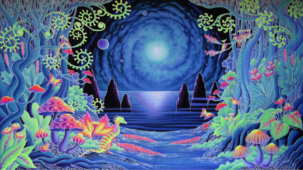 Dr. Steven Greer - Remote Viewing