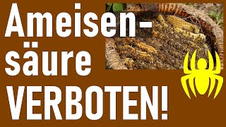 Sind Bienen meldepflichtig?