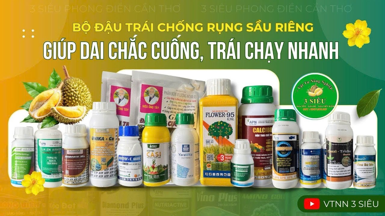 BỘ ĐẬU TRÁI CHỐNG RỤNG HIỆU QUẢ - GIAI ĐOẠN TRƯỚC VÀ SAU XỔ NHUỴ SẦU RIÊNG #baogia #dautrai #basieu 