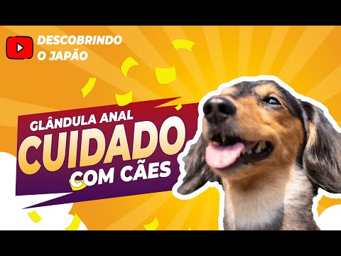 Vídeo: Como Limpar As Glândulas Do Seu Cachorro