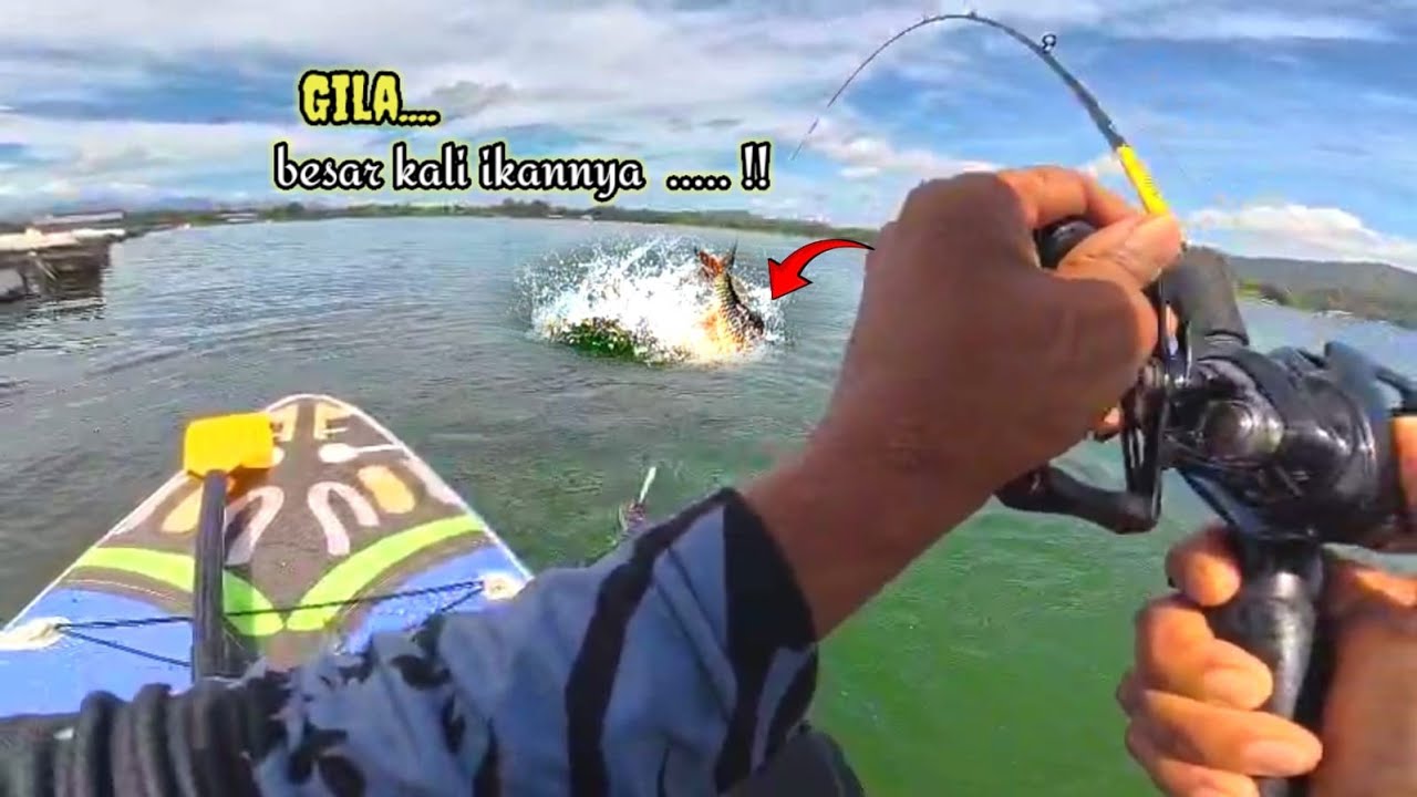 GILA‼️Hampala Sebesar Ini Nyamber Langsung di Depan Mata!! 😱🔥