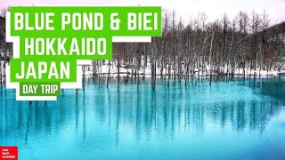 You Can't IMAGINE What is Hidden in these Giant Blue Ponds.
