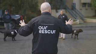Our Rescue's ESD K9 Program