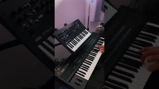 Video thumbnail of "telepatía (Kali Uchis) - synth cover (Korg minilogue xd and Yamaha DX7)"