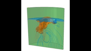 FSI simulation of mitral valve dynamic closure - 1
