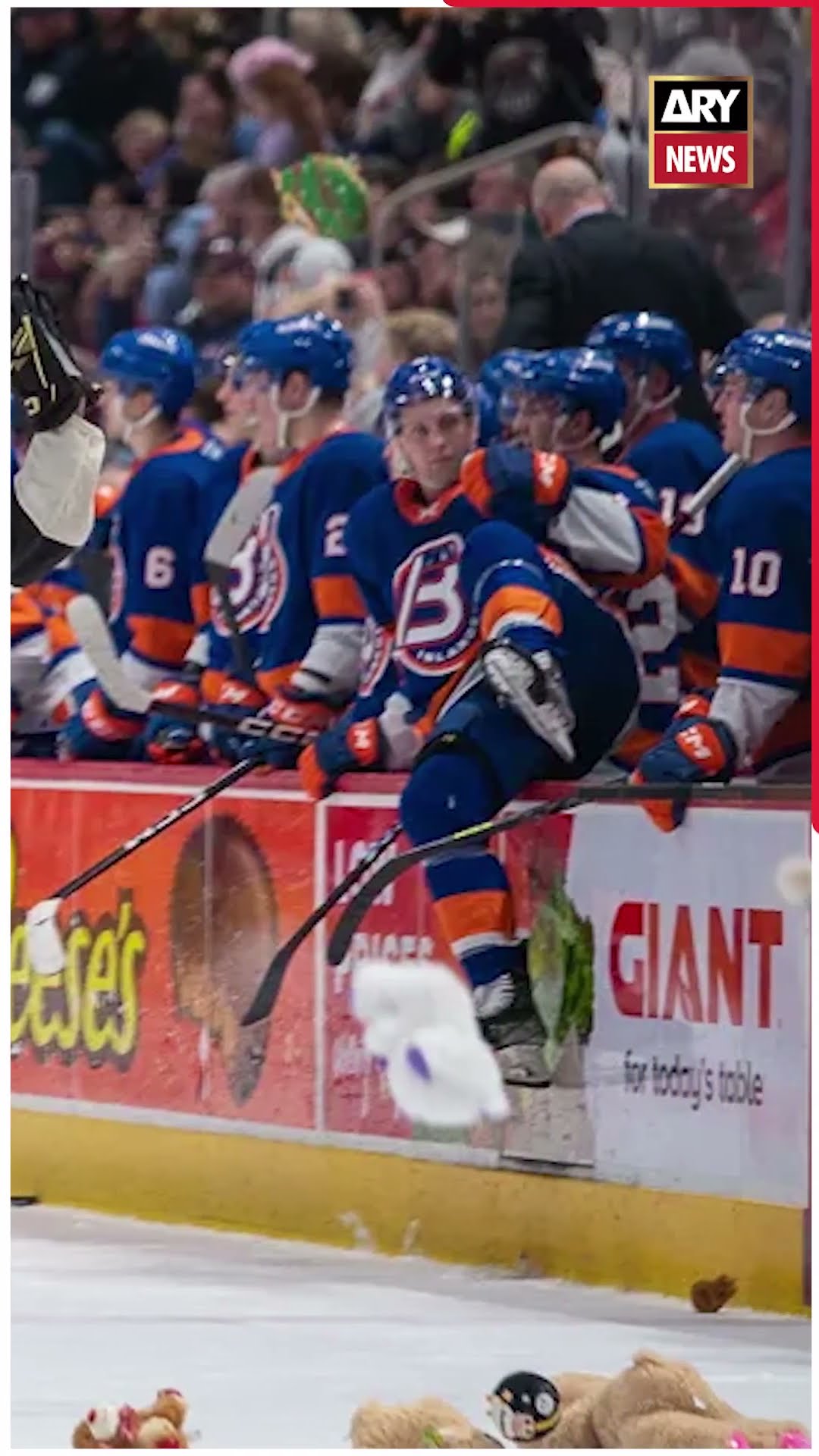 'Teddy Bears' ? ki barish #shorts #reels #hockymatch #america