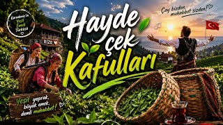 🌿 Karadeniz Horonu Kemençe & Tulum Çay Türküsü