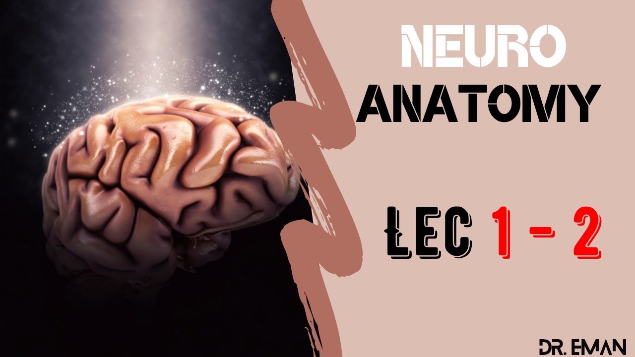 NMC2nd - NeuroAnatomy Lec 1&2 - YouTube
