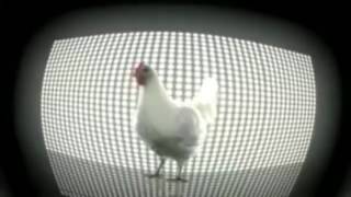 Chicken remix Earrape