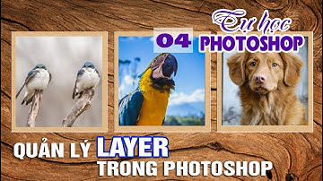 Bài 4: Quản lý photoshop với layer