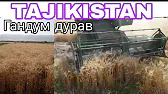 Я Таджик SUNBOY TB Екатеринбург