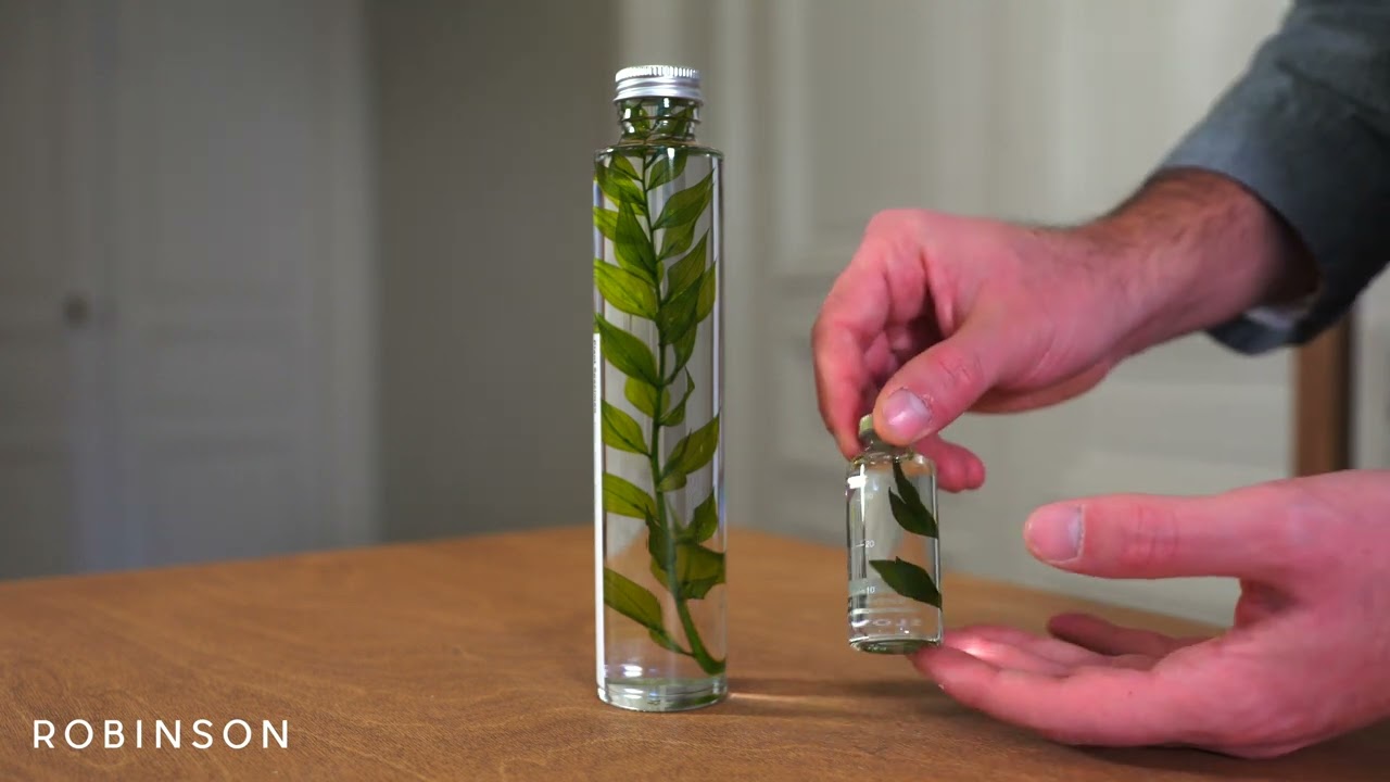 Robinson • Slow Pharmacy • Ruscus Aculeatus