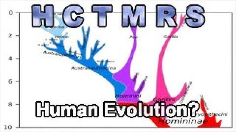 How Creationism Taught Me Real Science 92 Human Evolution