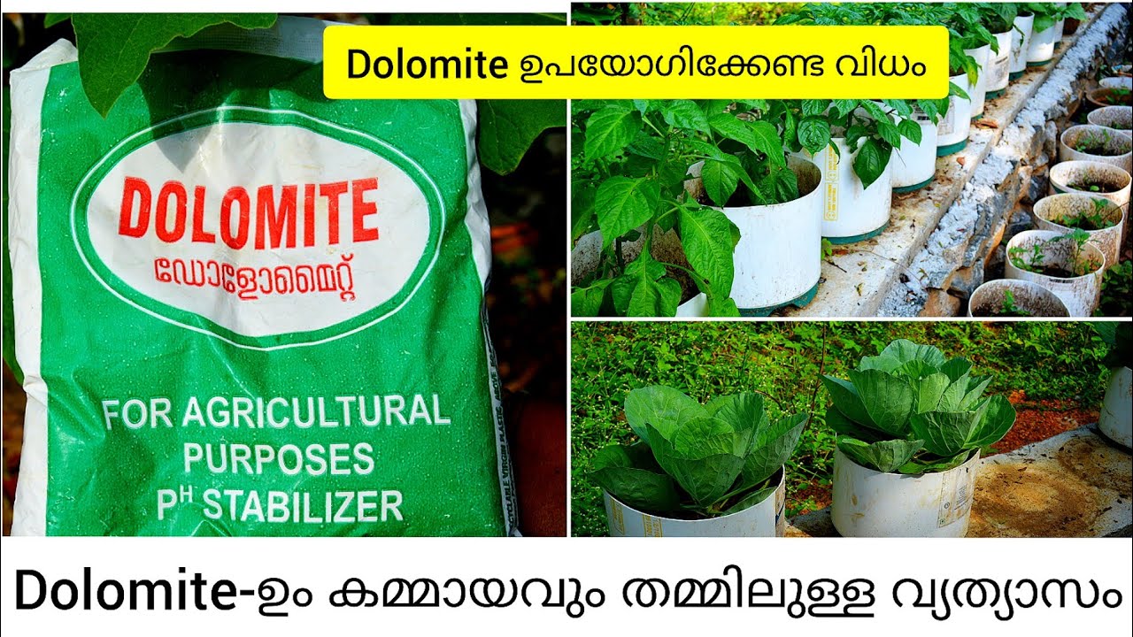 Dolomite എന്താണ്|എങ്ങനെ പ്രയോഗിക്കാംIDolomite ഉം കുമ്മായവും തമ്മിലുള്ള വ്യത്യാസംIDolomite malayalam