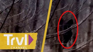A Lurking Bigfoot VANISHES Behinds A Tree |  Paranormal Caught on Camera | Travel Channel