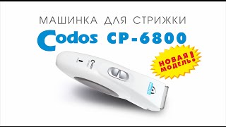 Codos CP-6800 машинка для стрижки шерсти животных (новинка 2014)