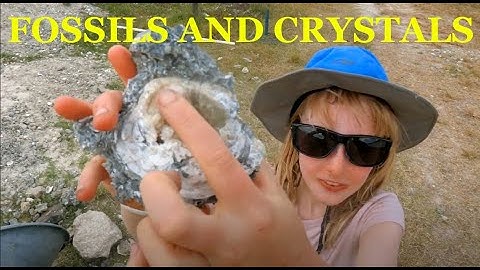 We Found Museum-Quality Fossil Calcite Clams at Ruck’s Pit and Beyond