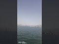 30 Ağustos 2025