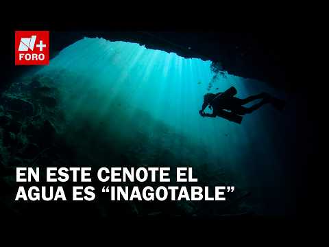 Hidden beneath the lands of Yucatán lies the state's water wealth