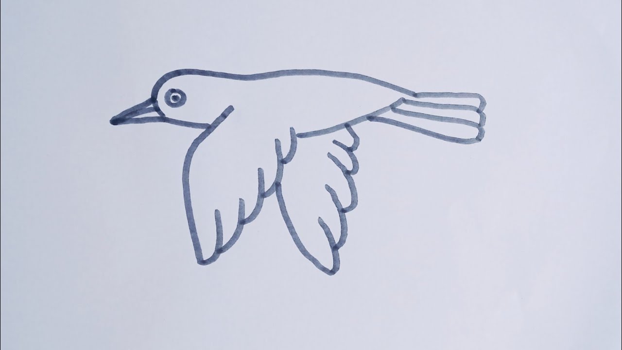 Flying Crow Study by Lil-el-art on DeviantArt