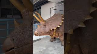  Why Did All The Dinosaurs Leave China Dinosaur Park  2025 Jiangsu Football City League