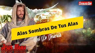 Video thumbnail of "A LA SOMBRA DE TUS ALAS, Luz De Jesucristo"